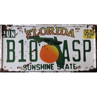 Florida- State -Of- America -Metal -License- Plate