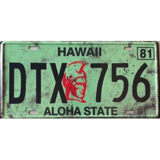 Hawaii State Of America Metal License Plate
