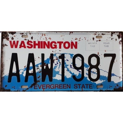 Washington State Of America Distressed Metal License Plate