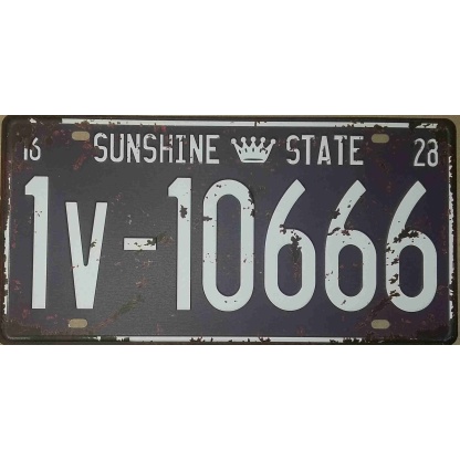 Sunshine state embossed metal license plate