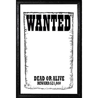 Wanted. Dead or Alive bar mirror