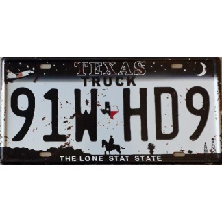 Texas State Of America Metal License Plate
