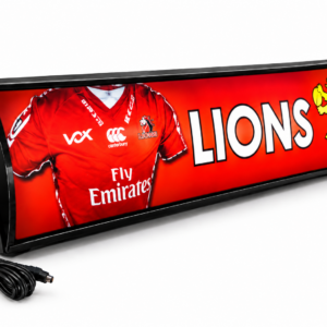 Lions Light Box