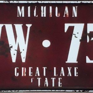 Michigan State Of America Metal License Plate